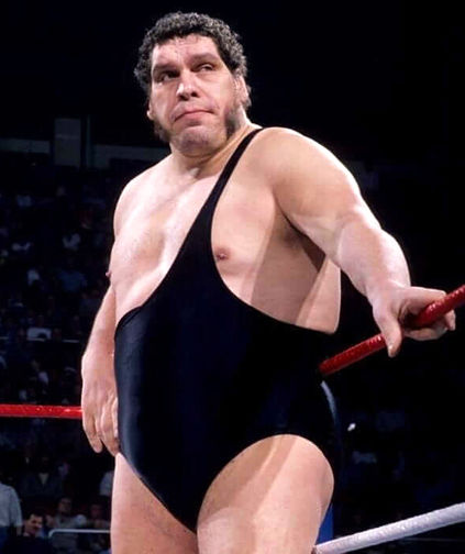 André the Giant - Wikipedia
