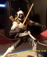 storm shadow ninja force