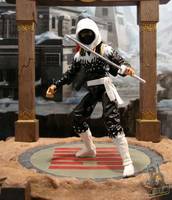 storm shadow ninja force