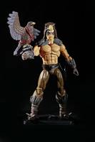 gi joe raptor