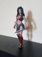 vitruvian hacks customs