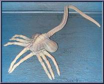 Alien Face Hugger from Alien Resurrection - Tube Aliens manufactured by Kenner [Loose]