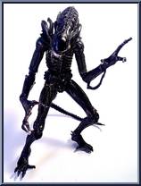 Xenomorph Warrior (Black) Action Figure