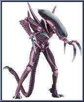 Razor Claws Alien from Alien vs Predator Arcade - Basic Series manufactured by Neca [Loose]