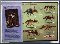 Triceratops horridus (sub-adult) from Beasts of the Mesozoic - Ceratopsian Series manufactured by Creative Beast Studio [Back]