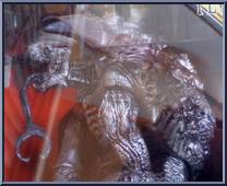 Jinmen (Pewter) from Devilman - Series 1: Toys R Us Exclusive manufactured by Fewture [Front]