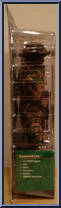 Marine SMAW Gunner from G.I. Joe - Classic Collection 12" Scale - Basic Series manufactured by Hasbro [Side]