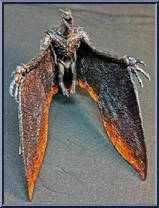 rodan neca