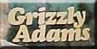 Grizzly Adams