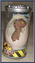 Velociraptor