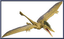 Ceoptera from Jurassic World - Rebirth - Frenzy Pack manufactured by Mattel [Loose]