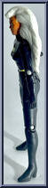 Storm from Marvel - Hall of Fame - She-Force - Series 1 manufactured by Toy Biz [Loose]