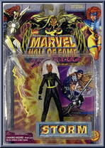Storm from Marvel - Hall of Fame - She-Force - Series 1 manufactured by Toy Biz [Front]