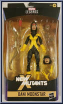 Dani Moonstar from Marvel Legends - Infinite Series - Exclusives manufactured by Hasbro [Front]