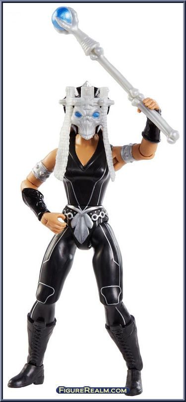 wwe master of the universe