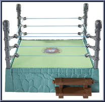 Grayskull Ring from Masters of the WWE Universe - Rings manufactured by Mattel [Loose]