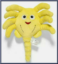 Face Hugger from Phunny - Alien manufactured by Kidrobot [Loose]