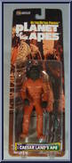 Caesar Land's Ape Action Figure