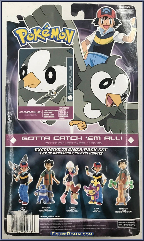 Trainer Profile: Dawn  Pokemon trainer, Pokemon trainer card, Pokemon