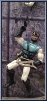 Mantor and Raplor from Sectaurs - Warriors Of Symbion - Beasts manufactured by Coleco [Loose]
