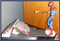 Spider-Man (Shoot N' Trap) from Spider-Man (2000) - Series 11 manufactured by Toy Biz [Loose]