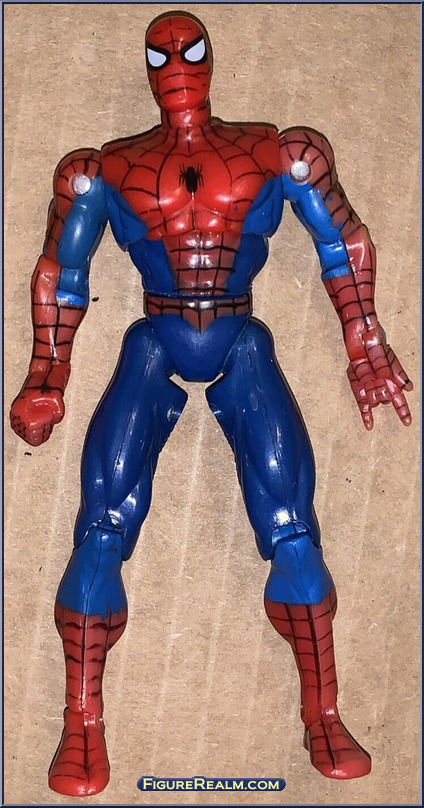 Spider-Man (Super Poseable) - Spider-Man - Animated - Series 3 - Toy Biz  Action Figure