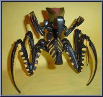 Warrior Bug