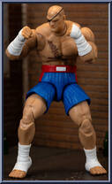 Sagat Action Figure