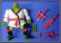 Night Ninja Raph from Teenage Mutant Ninja Turtles - Auto Mutations manufactured by Playmates [Loose]