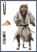 Splinter Action Figure