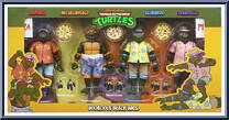 Bodacious Beach Bros. from Teenage Mutant Ninja Turtles - Classic Cartoon - Basic Series manufactured by Neca [Front]
