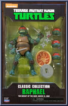 Raphael Action Figure
