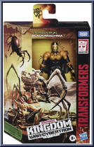 Blackarachnia from Transformers - Kingdom War for Cybertron - Deluxe manufactured by Hasbro [Front]