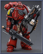 Brother Sergeant Ranian (Intercessor) Action Figure
