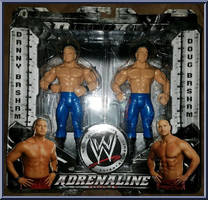 Danny Basham / Doug Basham from WWE Adrenaline - Series 10 manufactured by Jakks Pacific [Front]