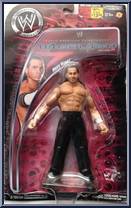 Matt Hardy from WWE Backlash - Series 14 manufactured by Jakks Pacific [Front]