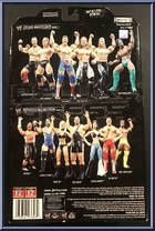 Zack Ryder from WWE Deluxe Aggression - Series 17 manufactured by Jakks Pacific [Back]