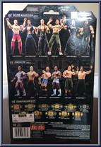 Tommy Dreamer from WWE Deluxe Aggression - Series  9 manufactured by Jakks Pacific [Back]