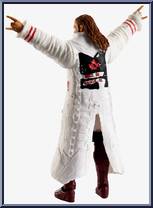 Edge from WWE Elite Collection - Series  94 manufactured by Mattel [Loose]