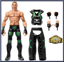 Shawn Michaels from WWE Elite Collection - From the WWE Vault - Series 2 manufactured by Mattel [Loose]