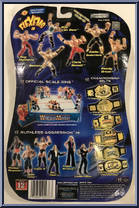 Batista from WWE Flex 'Ems - Series  9 manufactured by Jakks Pacific [Back]