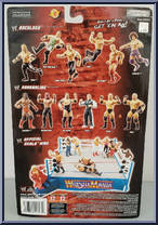 Edge from WWE Pay Per View - Series 13 - Backlash manufactured by Jakks Pacific [Back]