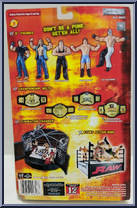Goldberg from WWE Pay Per View - Series  3 - Survivor Series manufactured by Jakks Pacific [Back]