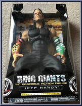 Jeff Hardy Action Figure
