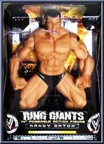 Randy Orton Action Figure