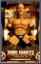 Triple H from WWE Ring Giants - Series 12 manufactured by Jakks Pacific [Front]