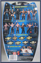 Triple H from WWE Ruthless Aggression - Series 16 manufactured by Jakks Pacific [Back]