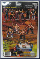 Undertaker from WWE Ruthless Aggression - Series 16.5 manufactured by Jakks Pacific [Back]