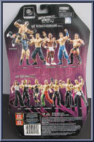 Triple H from WWE Ruthless Aggression - Series 23 manufactured by Jakks Pacific [Back]