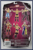 Randy Orton from WWE Ruthless Aggression - Series 43 manufactured by Jakks Pacific [Back]